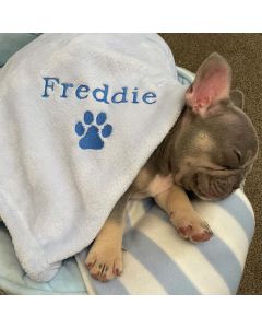 Personalised Dog Blanket with 8 Design Styles